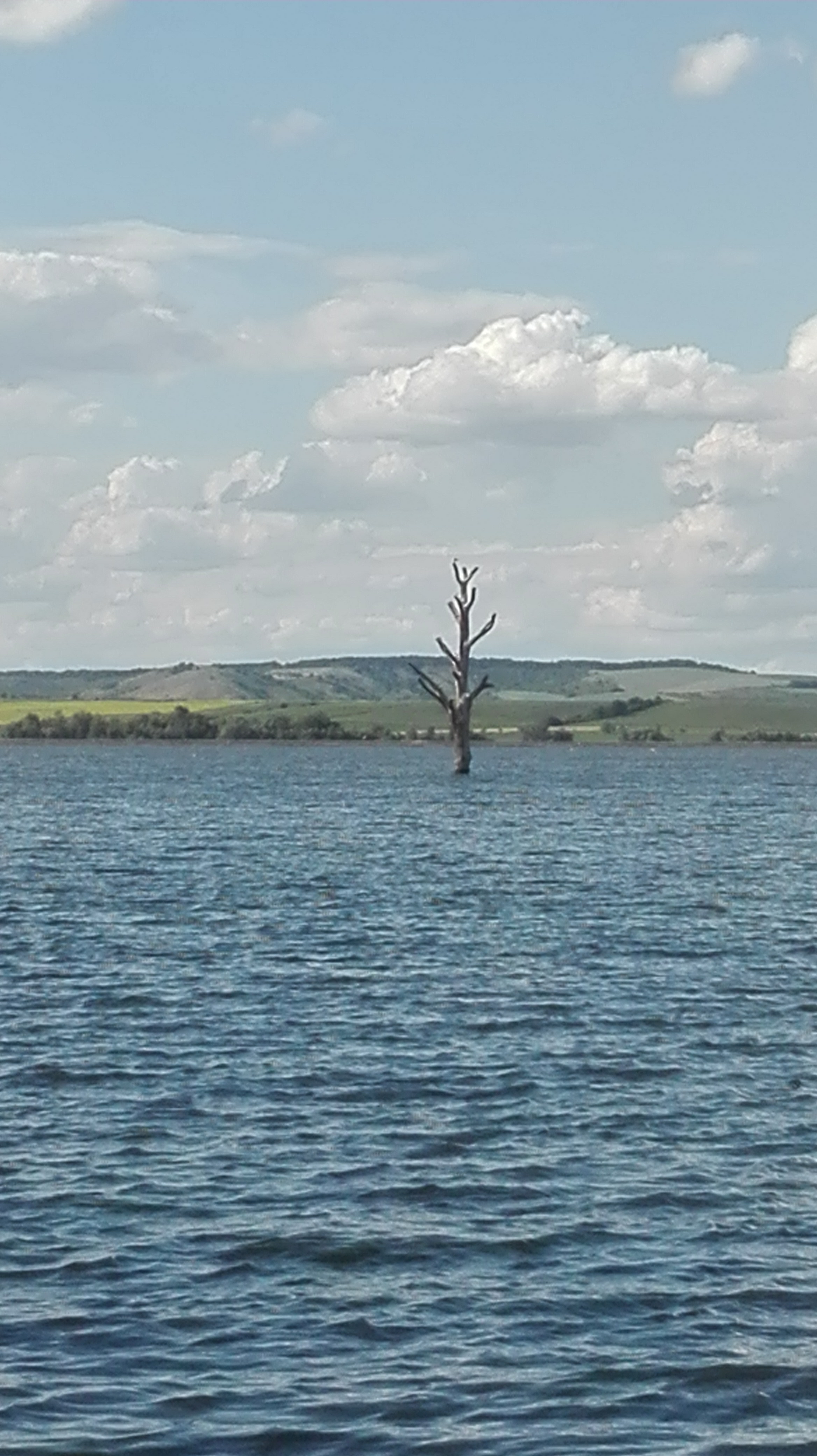 Nové Mlýny 2016 detail